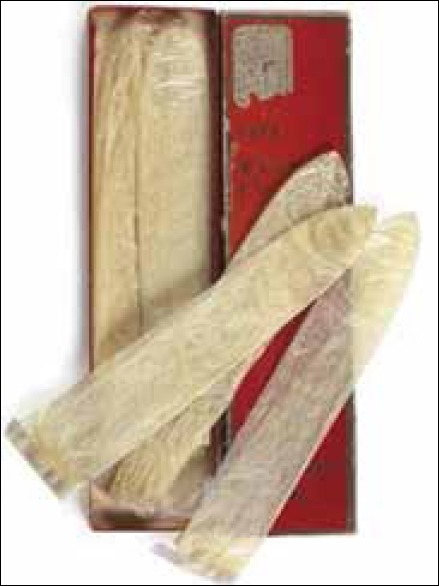 شکل1: کاندوم