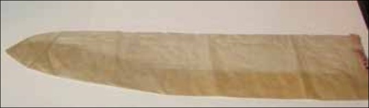 شکل 4: کاندوم‌ها