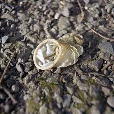 کاندوم استفاده شده که در طبیعت رها شده کاندوم استفاده شده که در طبیعت رها شده